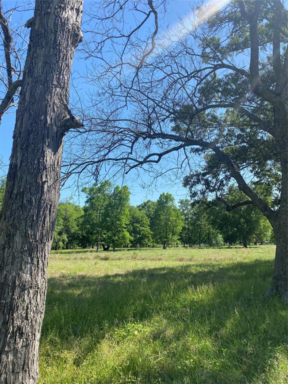 TBD County Road 2094 11a, Liberty, Texas image 6