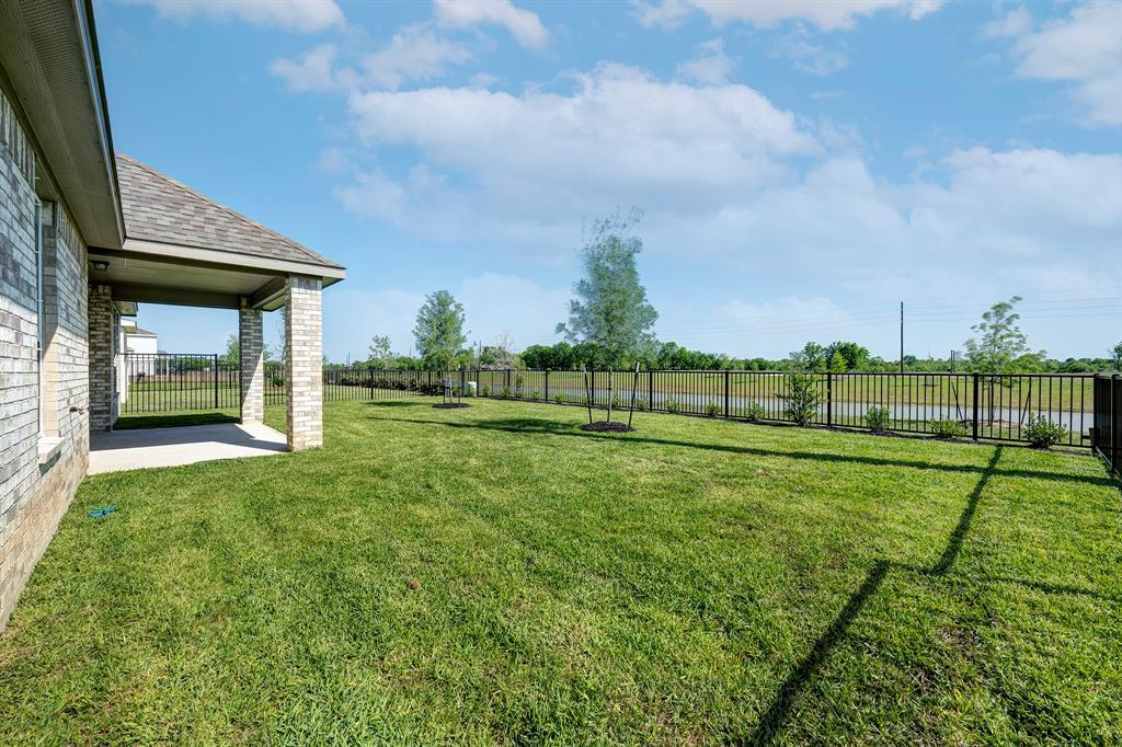 10919 Amador Peak Drive, Iowa Colony, Texas image 16