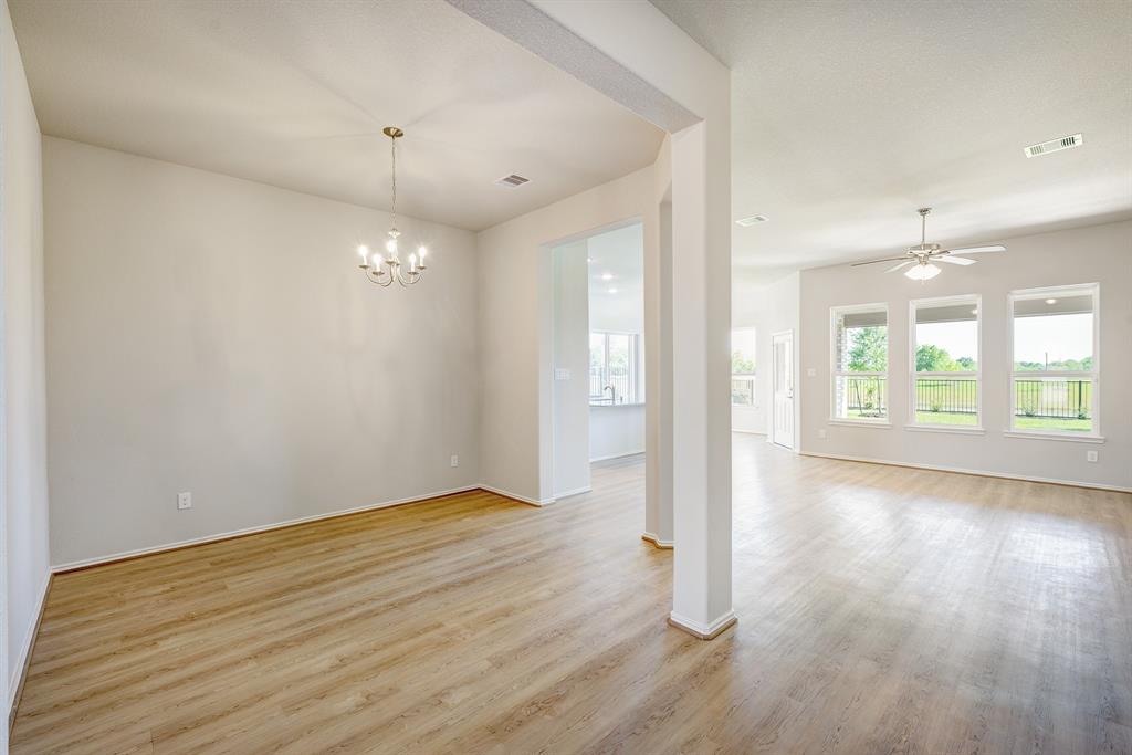 10919 Amador Peak Drive, Iowa Colony, Texas image 4