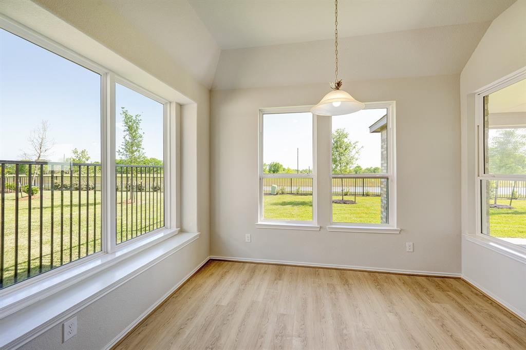 10919 Amador Peak Drive, Iowa Colony, Texas image 5