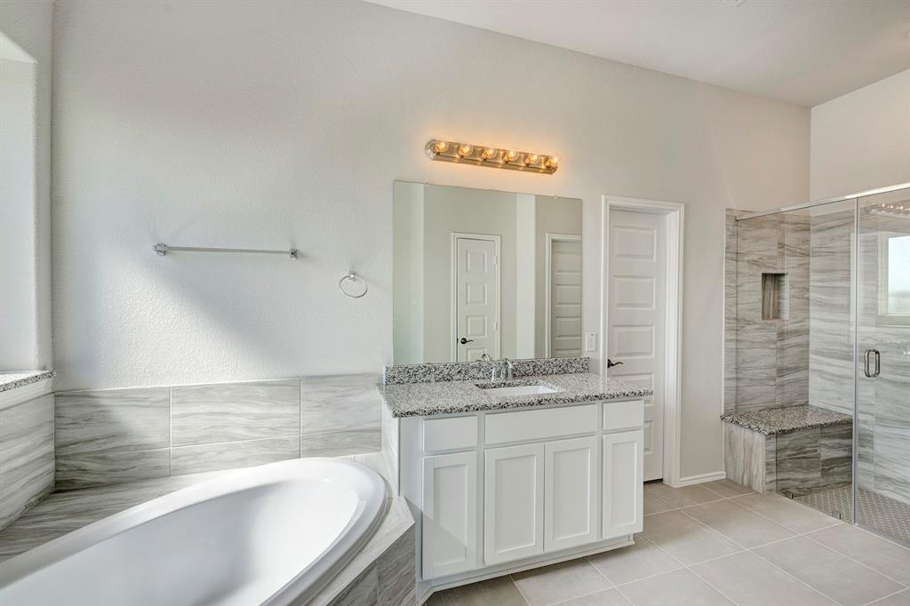 10919 Amador Peak Drive, Iowa Colony, Texas image 11