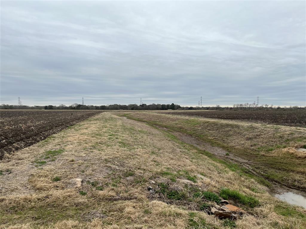 13315 Zamanek Road, Needville, Texas image 26