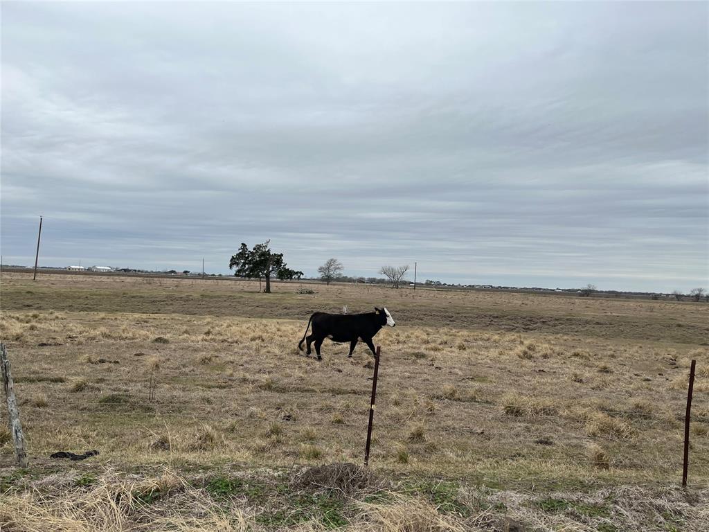 13315 Zamanek Road, Needville, Texas image 18