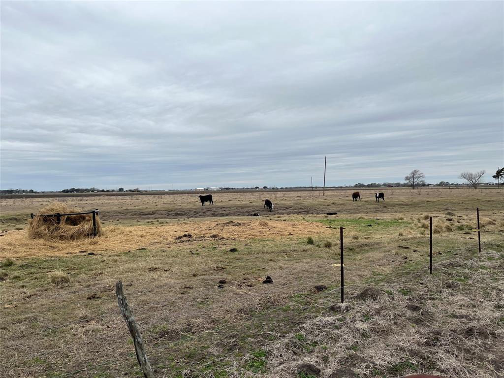 13315 Zamanek Road, Needville, Texas image 15