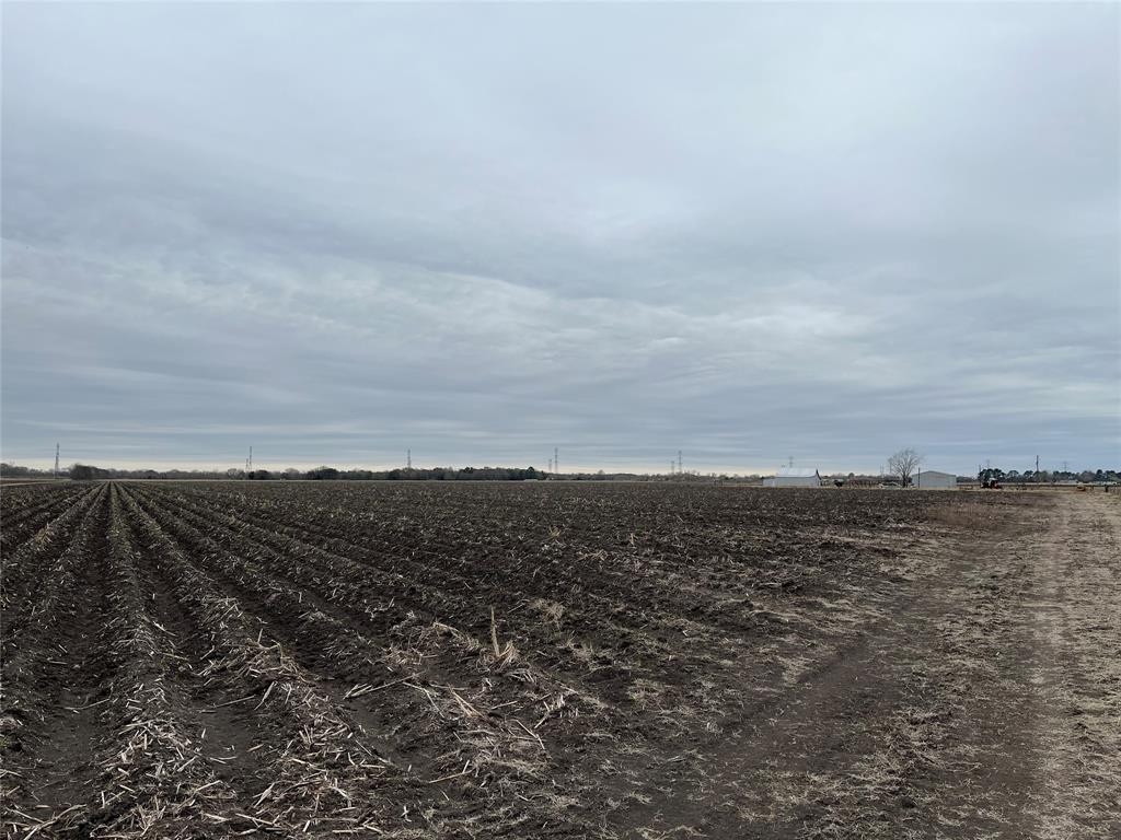 13315 Zamanek Road, Needville, Texas image 9