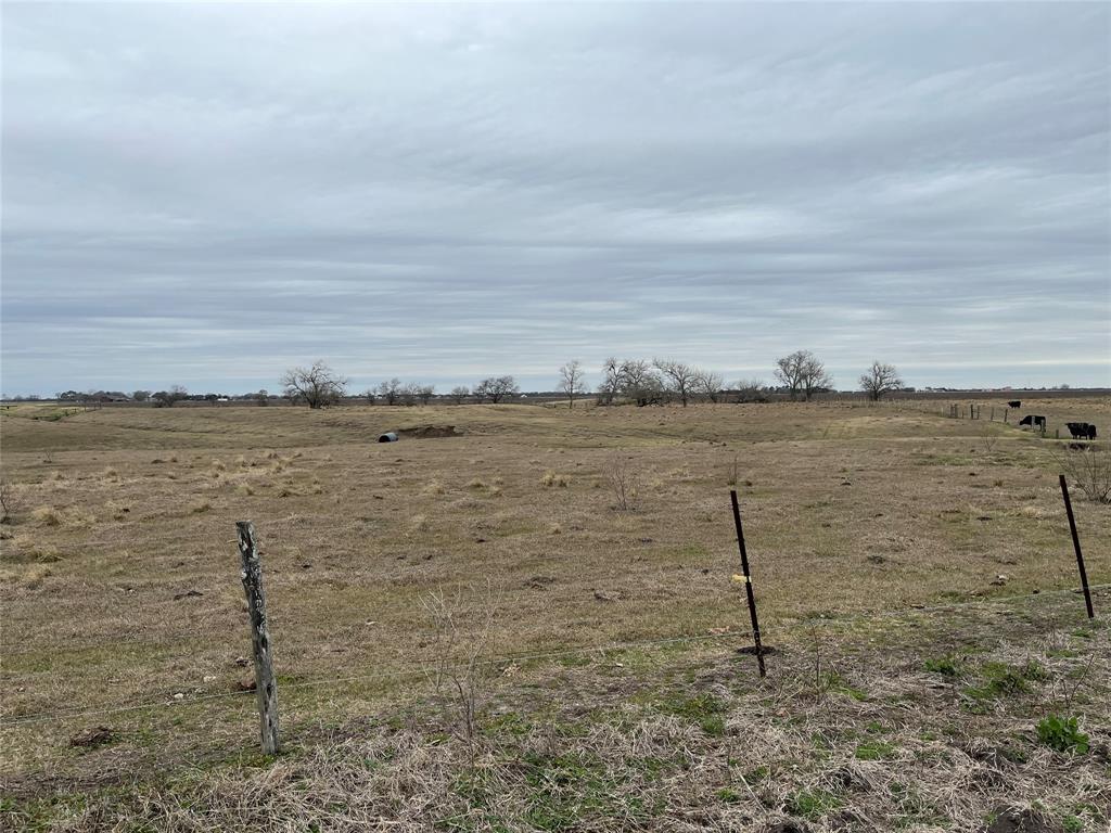 13315 Zamanek Road, Needville, Texas image 19