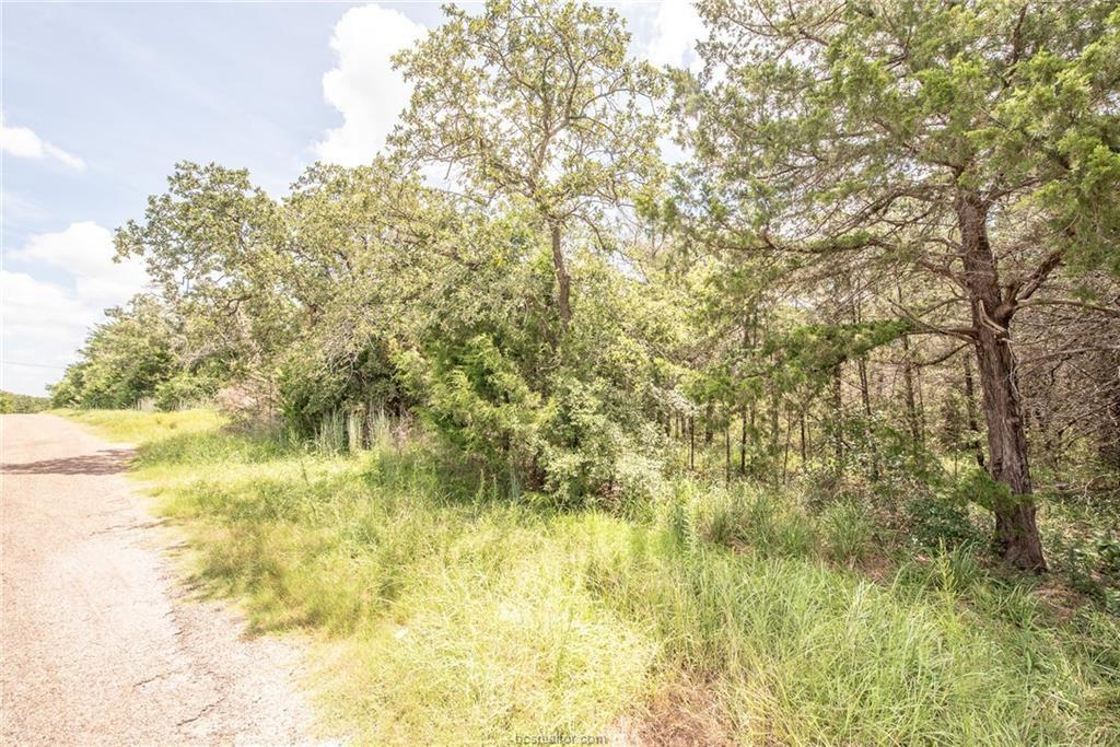 Lot 92 Lois Lane Street, Somerville, Texas image 18