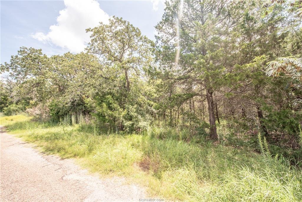 Lot 92 Lois Lane Street, Somerville, Texas image 8