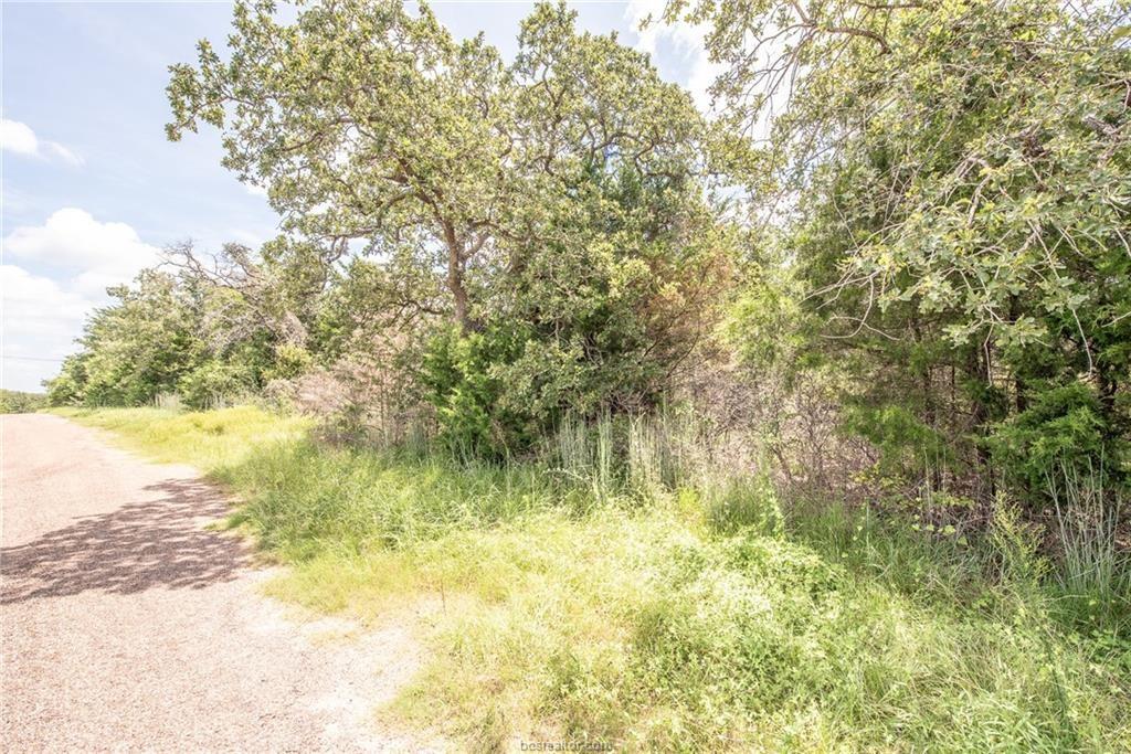 Lot 92 Lois Lane Street, Somerville, Texas image 12