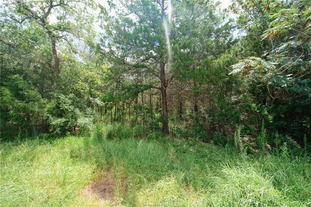 Lot 92 Lois Lane Street, Somerville, Texas image 10