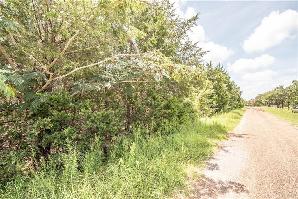 Lot 92 Lois Lane Street, Somerville, Texas image 13