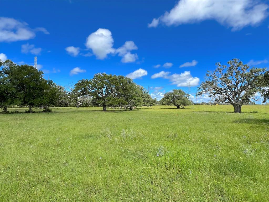 Hwy 36, West Columbia, Texas image 10