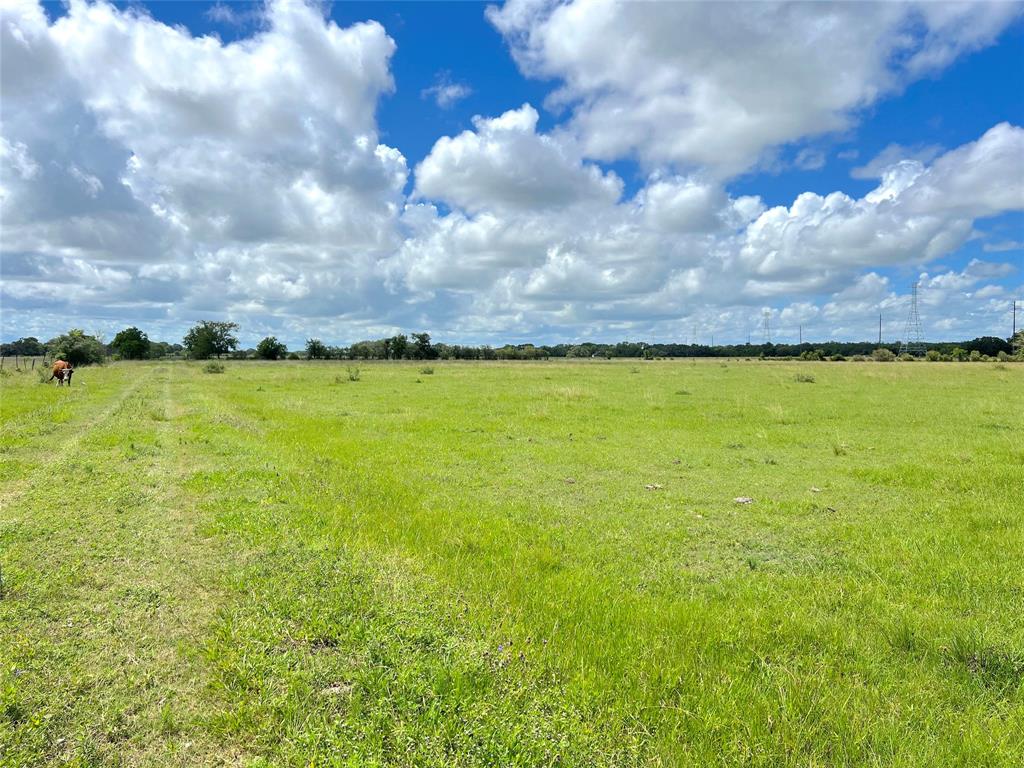 Hwy 36, West Columbia, Texas image 16