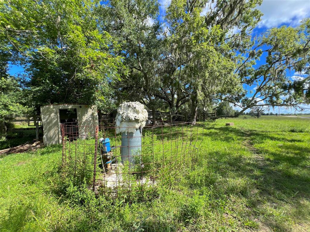 Hwy 36, West Columbia, Texas image 34