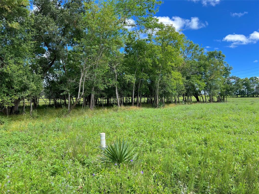 Hwy 36, West Columbia, Texas image 26