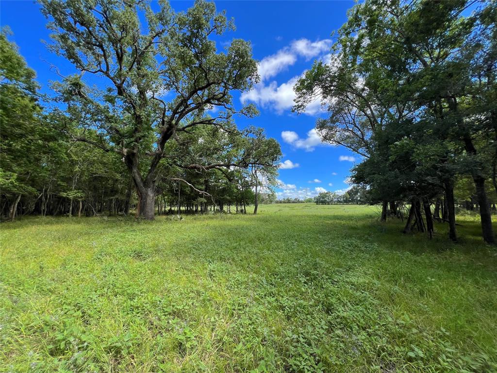 Hwy 36, West Columbia, Texas image 25