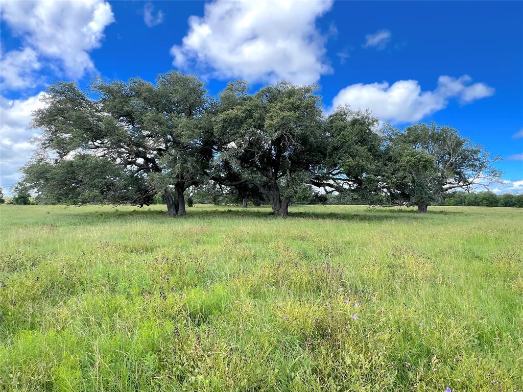 Hwy 36, West Columbia, Texas image 4