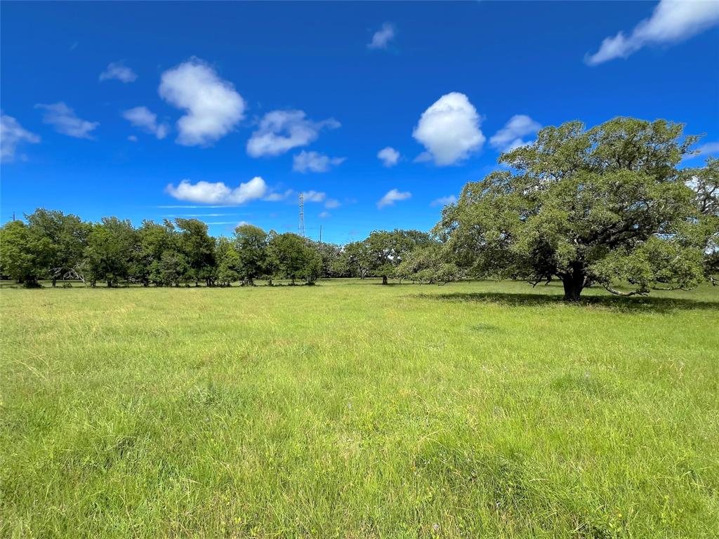 Hwy 36, West Columbia, Texas image 9