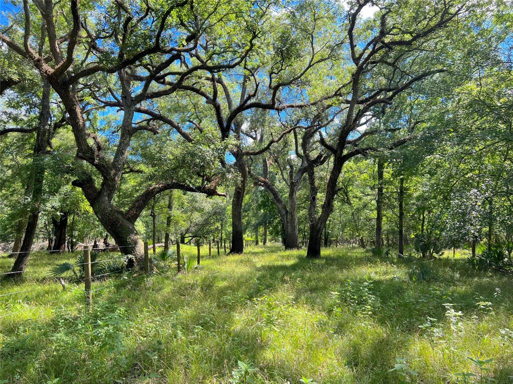 Hwy 36, West Columbia, Texas image 31