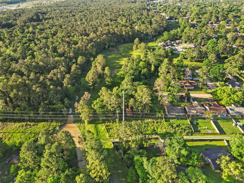 Moonshadows Drive, Humble, Texas image 9