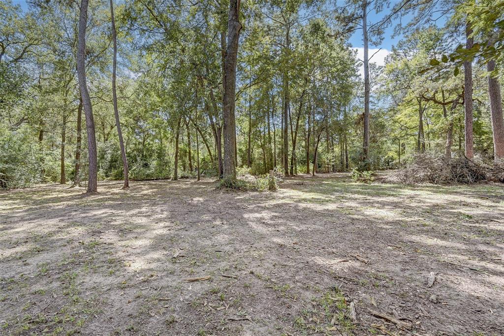 23506 Kings Forest Road, Hockley, Texas image 49