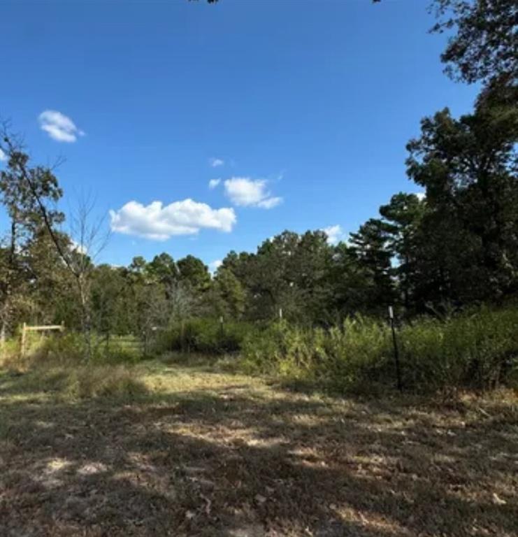 128 Winding Creek Drive, Trinity, Texas image 2