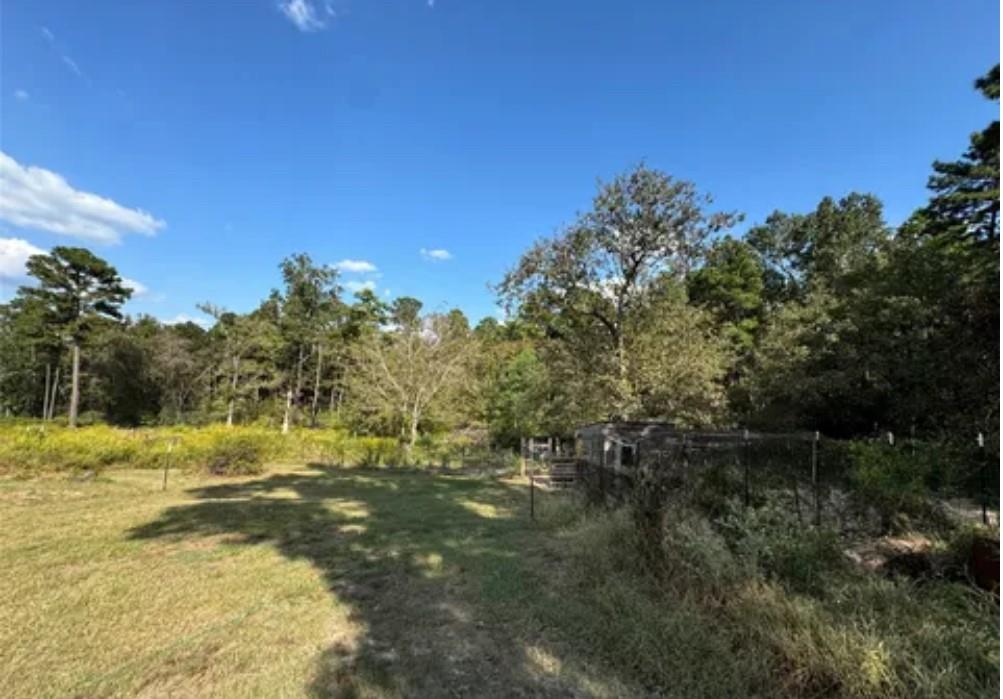 128 Winding Creek Drive, Trinity, Texas image 3