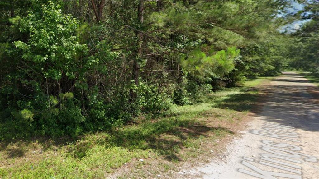 19237 Kings Row, New Caney, Texas image 1