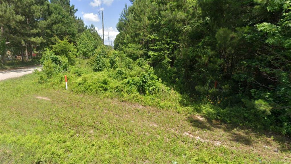19237 Kings Row, New Caney, Texas image 3
