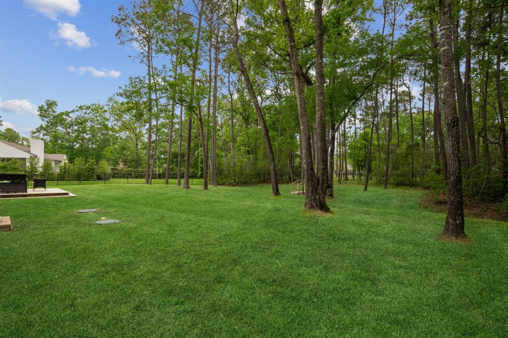 27406 Ossineke Drive, Spring, Texas image 48
