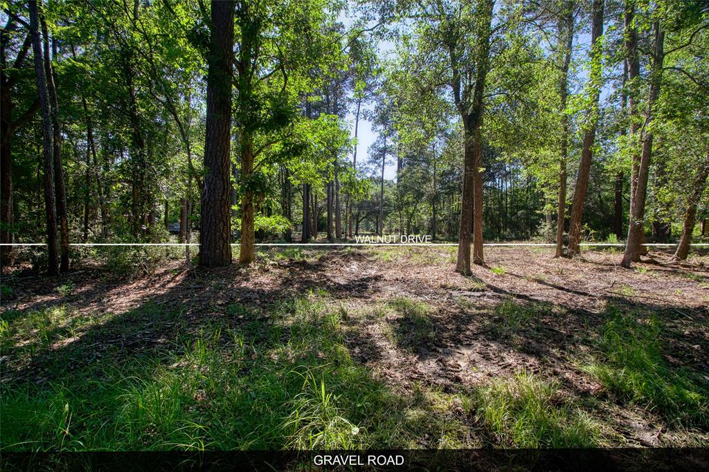 TBD LOT 57 Walnut Drive, Montgomery, Texas image 4