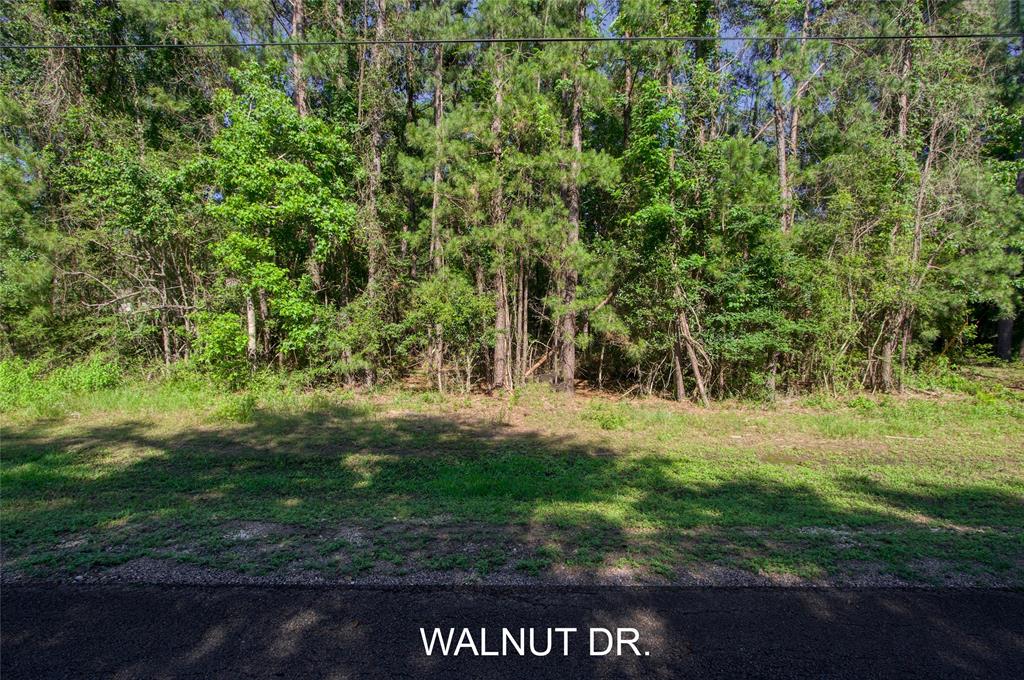 TBD LOT 57 Walnut Drive, Montgomery, Texas image 1