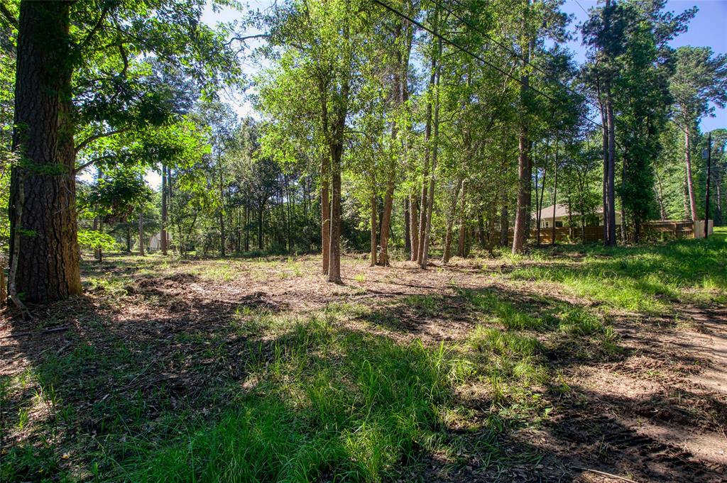 TBD LOT 57 Walnut Drive, Montgomery, Texas image 3