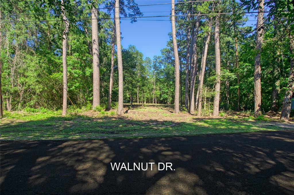 TBD LOT 57 Walnut Drive, Montgomery, Texas image 5