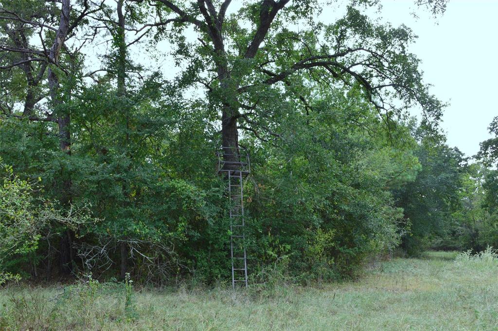 0020 Highway 90, Bedias, Texas image 6