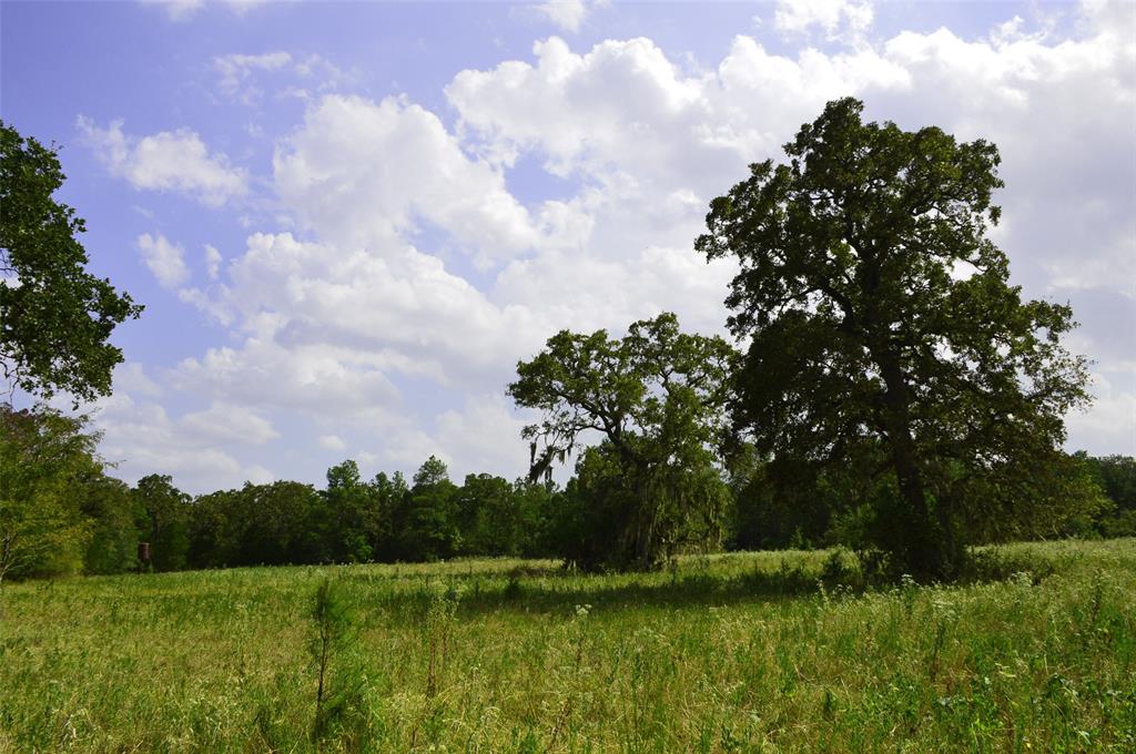 0020 Highway 90, Bedias, Texas image 4