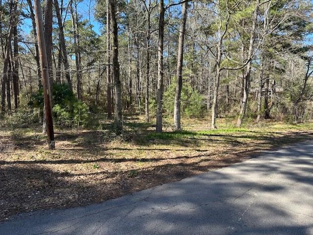 15819 Forest Drive, Montgomery, Texas image 15