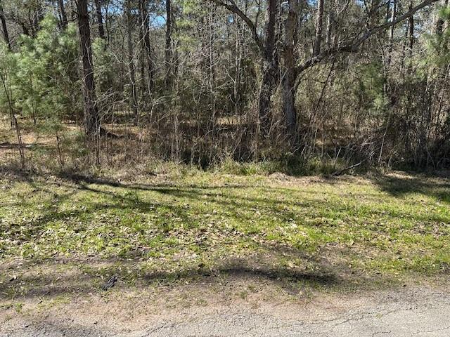 15819 Forest Drive, Montgomery, Texas image 12