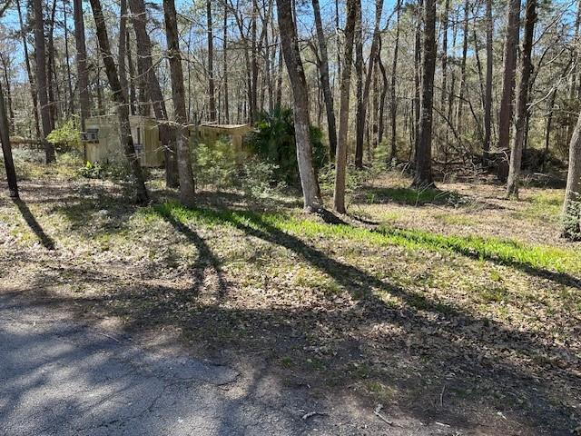 15819 Forest Drive, Montgomery, Texas image 14