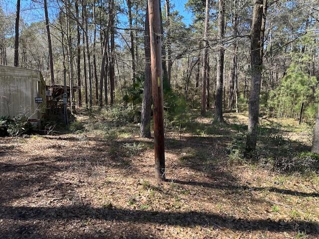 15819 Forest Drive, Montgomery, Texas image 10
