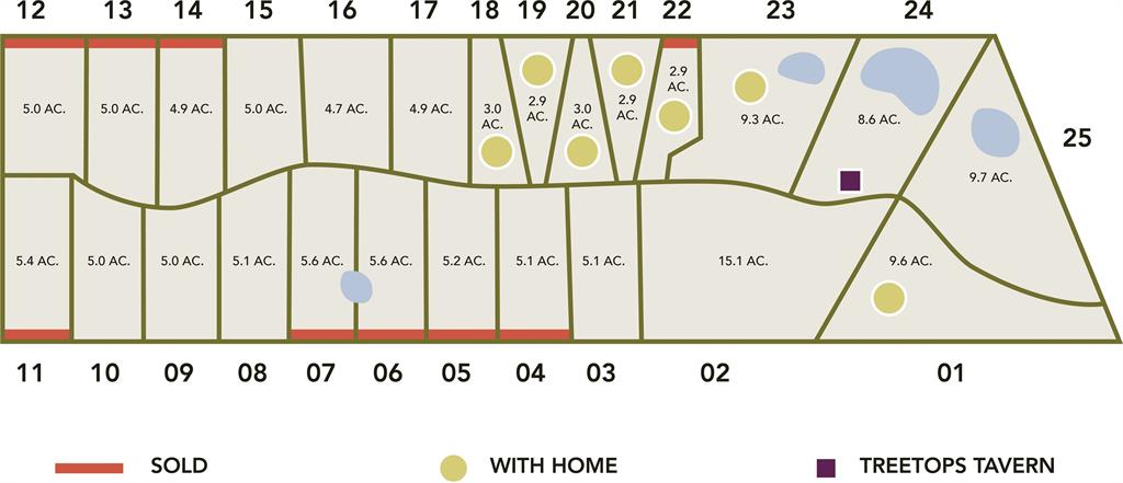 434 Vineyard View - Lot 17 Trail, Carmine, Texas image 6