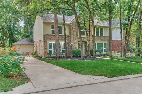 Photo of 71 Breezy Point Place, Spring, TX 77381 (MLS # 66531143)