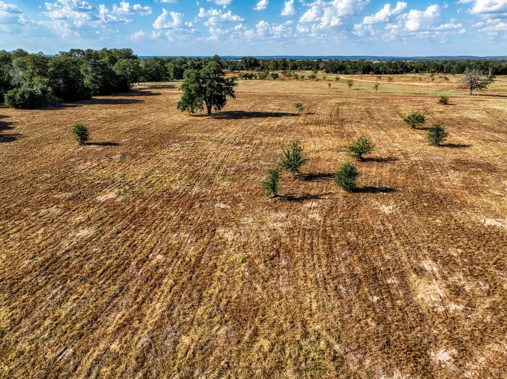 264 Feder Way, West Point, Texas image 8