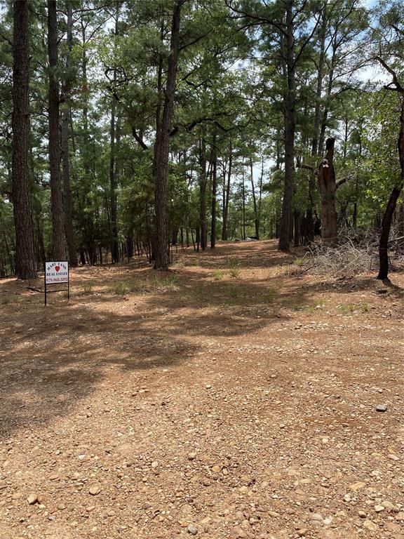 000 Clear Lake Drive, La Grange, Texas image 7