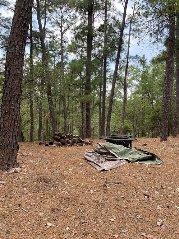 000 Clear Lake Drive, La Grange, Texas image 5