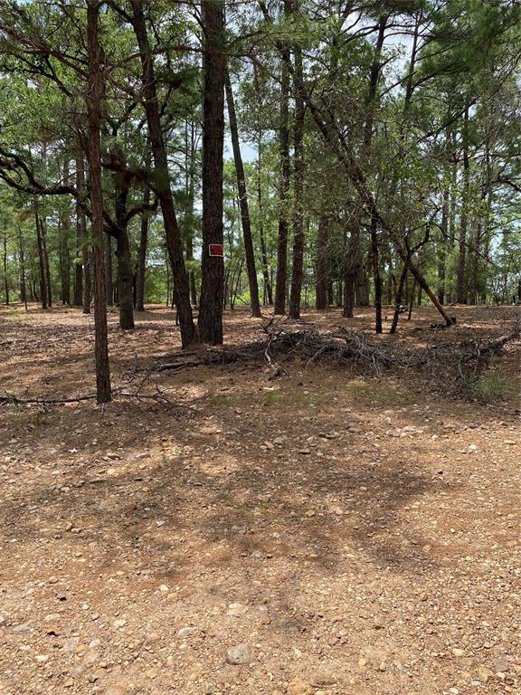 000 Clear Lake Drive, La Grange, Texas image 10