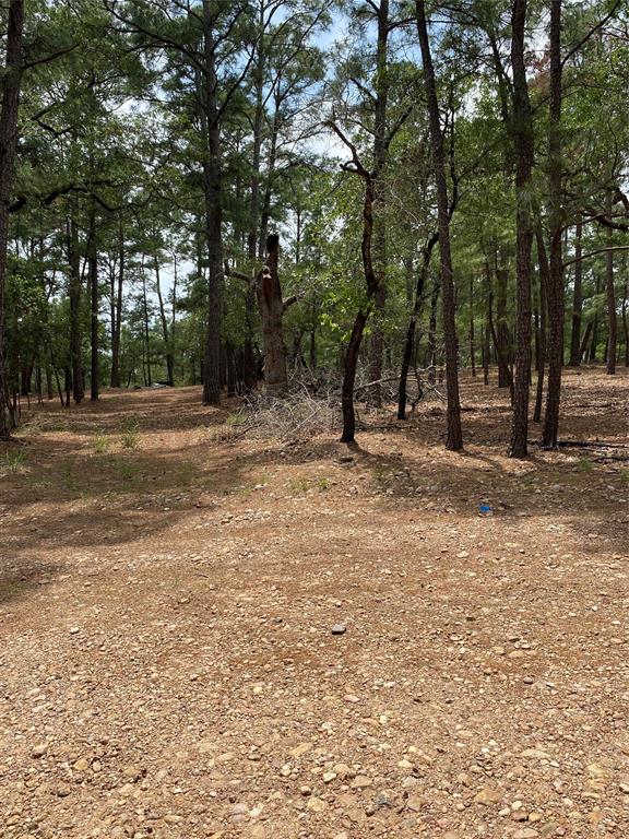 000 Clear Lake Drive, La Grange, Texas image 8