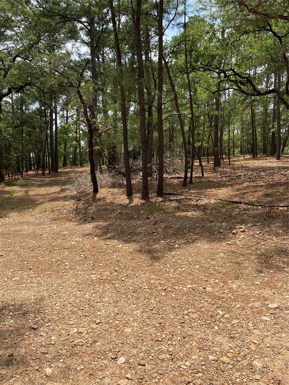 000 Clear Lake Drive, La Grange, Texas image 9