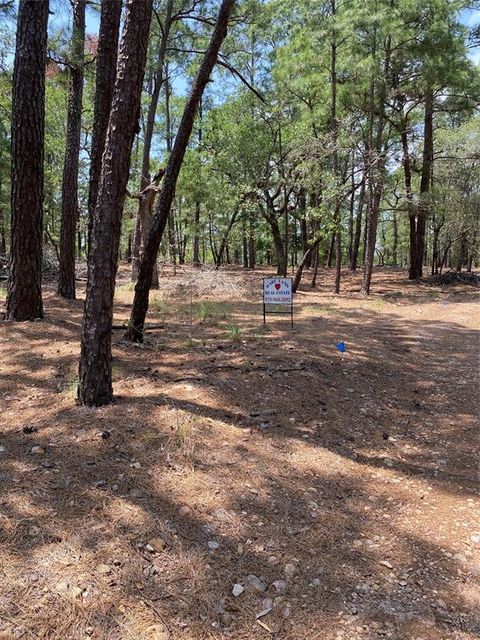 Vacant Land For Sale - 000 Clear Lake Drive<br/> Fayette County, La Grange, TX 78945