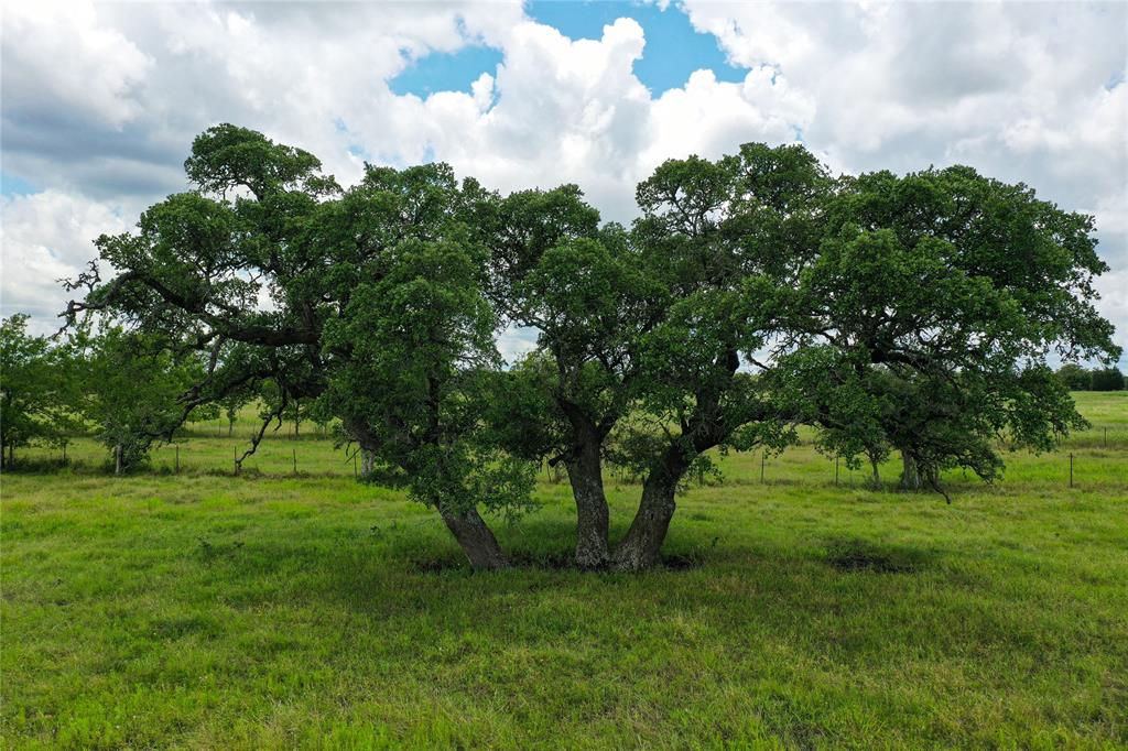 2327 E State Highway 237, Round Top, Texas image 4